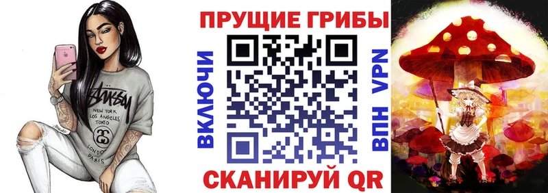 Купить  Владикавказ  Галлюциногенные грибы GOLDEN TEACHER 